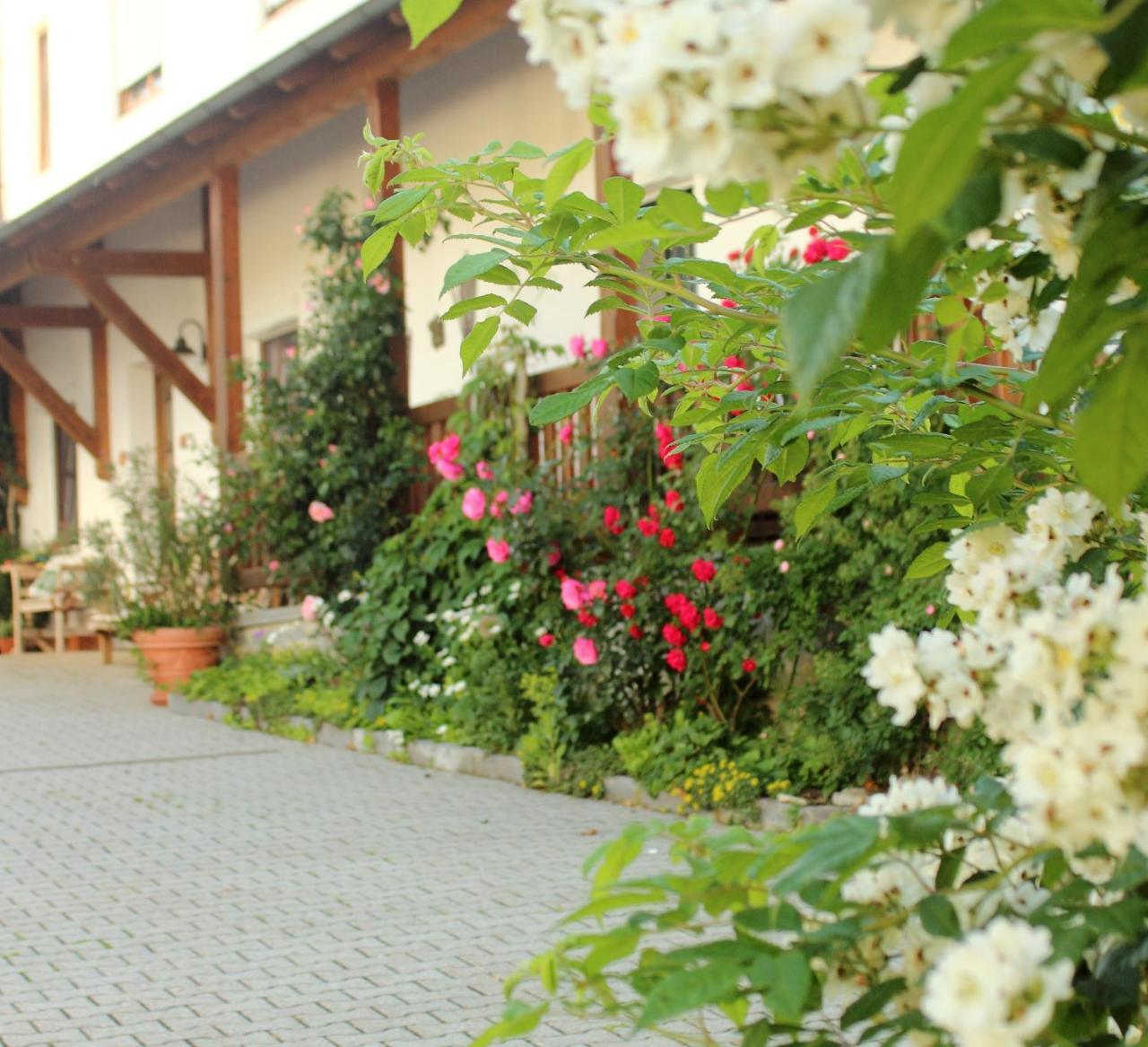 Ferienwohnung Kittl Waldkirchen Zewnętrze zdjęcie